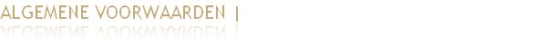 ALGEMENE VOORWAARDEN | DUIDELIJKHEID 